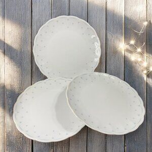 Seltmann Weiden Fine Porcelain Dish Plate Set 3 W Germany White Blue Flowers VTG